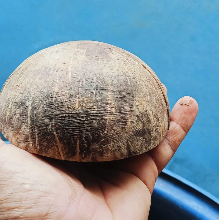 casca de coco, lixamento externo