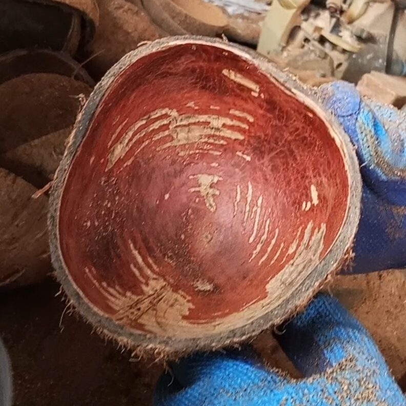 casca de coco, lixamento externo
