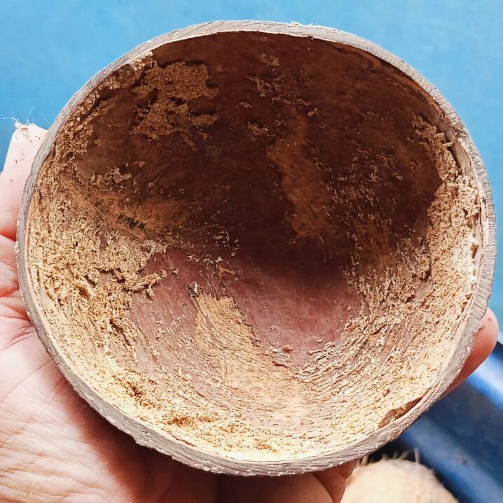 casca de coco, lixamento interno