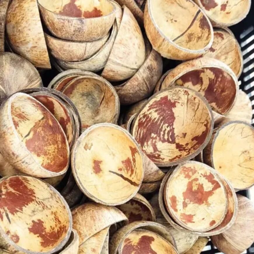 casca de coco seca acabada pronta para uso, limpa